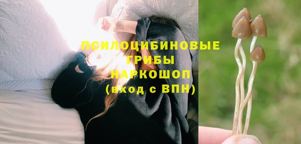метадон Армянск
