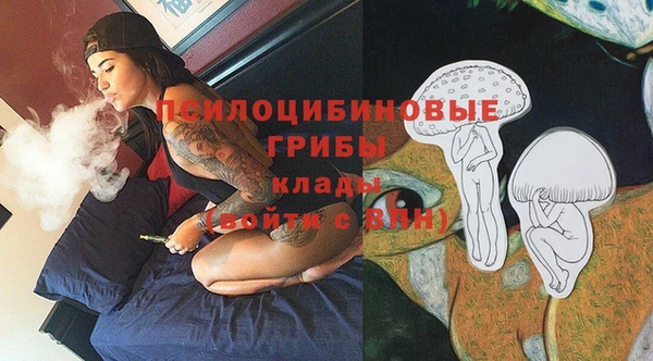 СК Арсеньев
